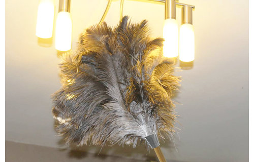 Struisvogel Plumeau Extra dik  met Extra lange houten steel  110 cm