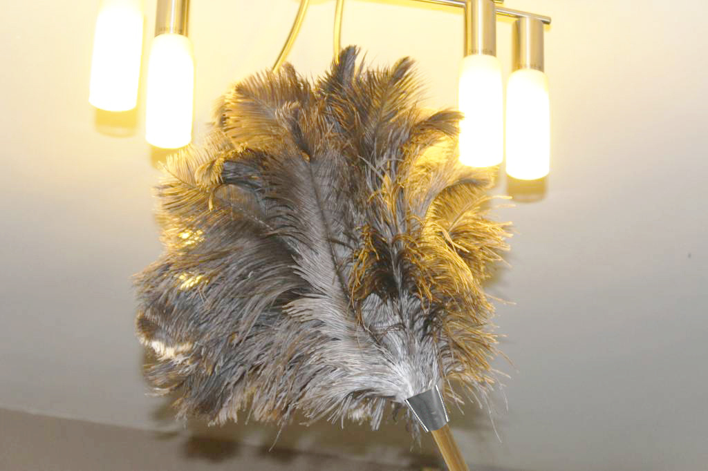 Struisvogel Plumeau Extra dik met Extra lange houten steel 110 cm Struisvogel Plumeau Extra dik met Extra lange houten steel 110 cm