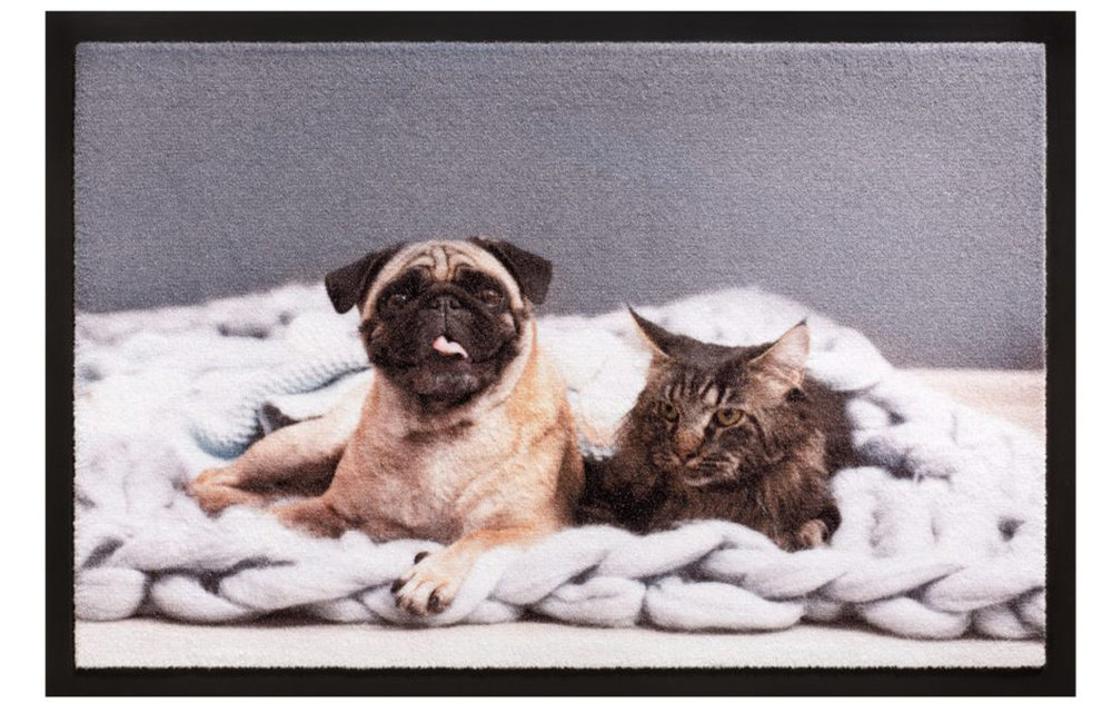 Schoonloopmat 40 x 60 cm - Image Cat&Dog Schoonloopmat 40 x 60 cm - Image Cat&Dog