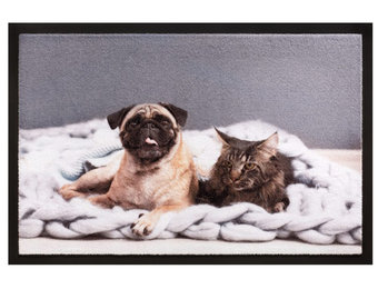 Schoonloopmat 40 x 60 cm -  Image Cat&Dog