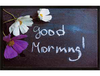 Schoonloopmat 45 x 75 cm -  Good Morning