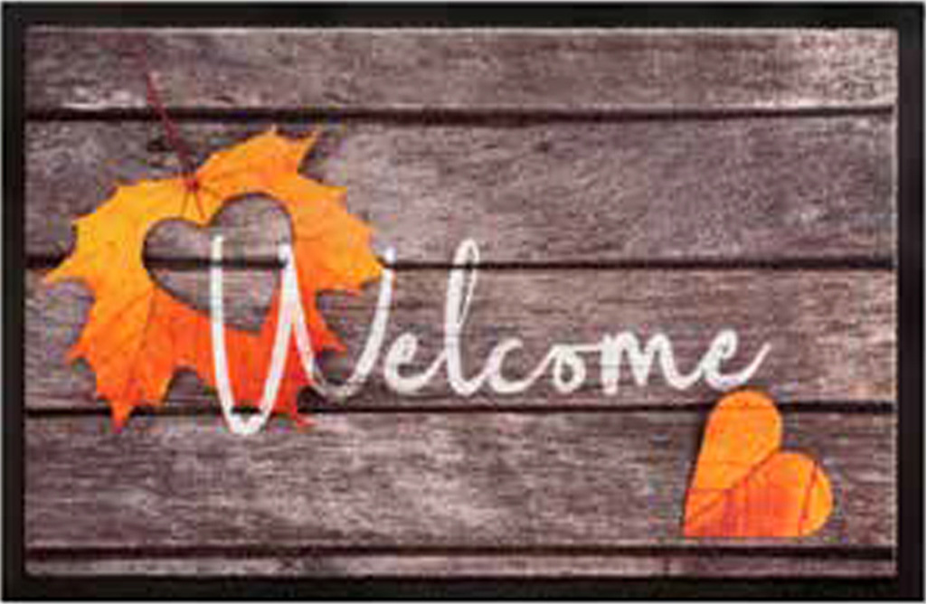 Schoonloopmat 45 x 75 cm -  Welcome Hearts