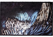 Wasbare Deurmat Wings  50 x 75 cm.