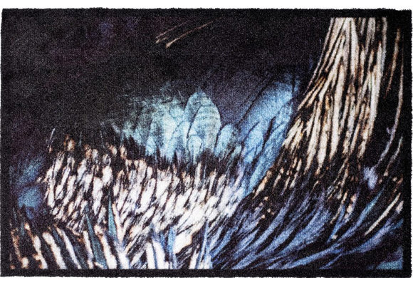 Wasbare Deurmat Wings  50 x 75 cm.