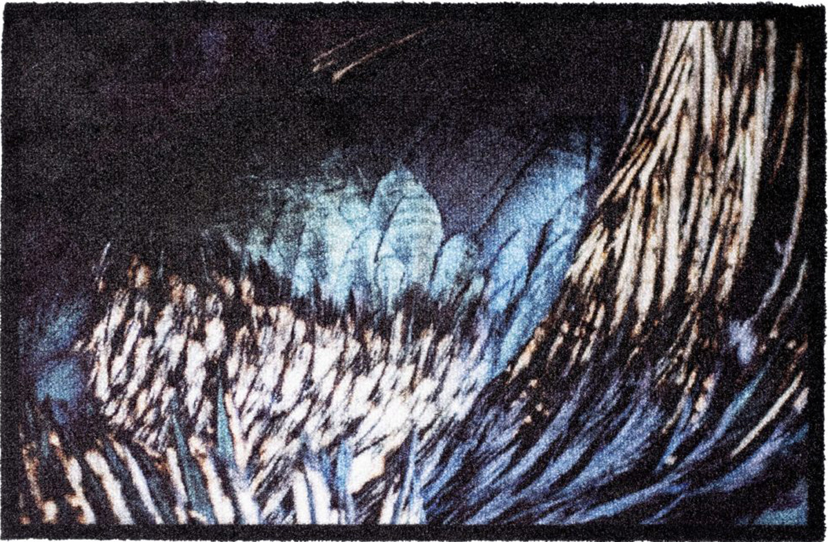 Wasbare Deurmat Wings  50 x 75 cm. Wasbare Deurmat Wings  50 x 75 cm.