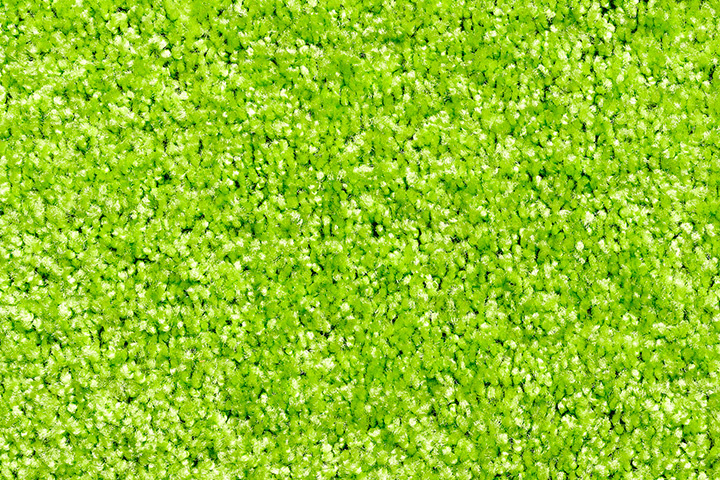 Wasbare schoonloopmat limoen Groen  80x120 cm.