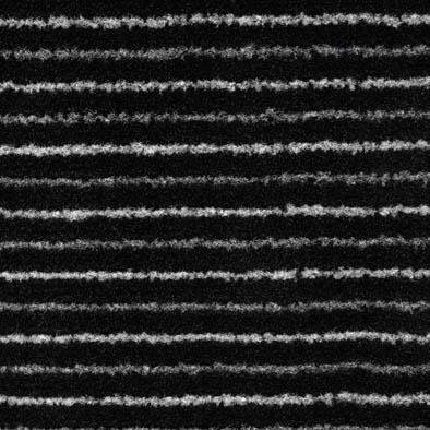 Schoonloopmat Scala 60 X 80 cm. anthracite met boord Schoonloopmat Scala 60 X 80 cm. anthracite met boord