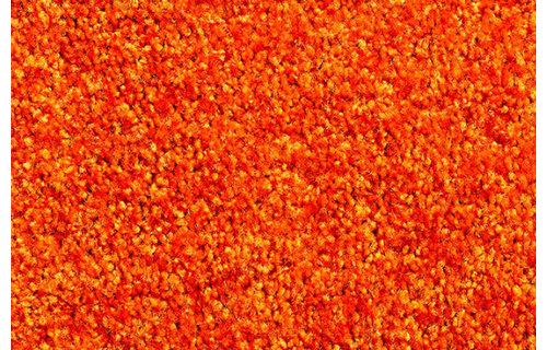 Wasbare schoonloopmat Orange 60x90 cm.