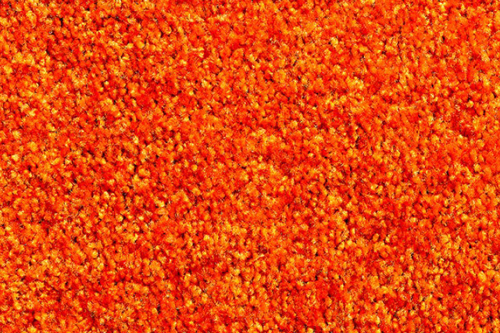 Wasbare schoonloopmat Orange 60x90 cm.