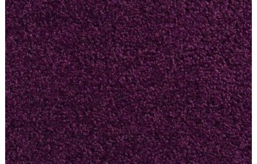 Wasbare schoonloopmat Purper 60x90 cm. Wasbare schoonloopmat Purper 60x90 cm.