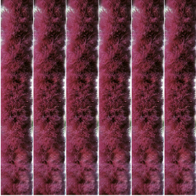 Vliegengordijn kattenstaart 90x220 cm. Bordeaux Vliegengordijn kattenstaart 90x220 cm. Bordeaux