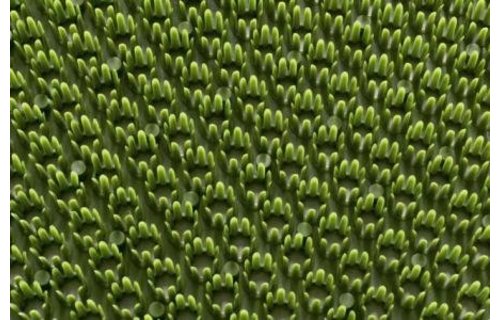 Deurmat Condor Groen "Grasmat" 40 x 60 cm.