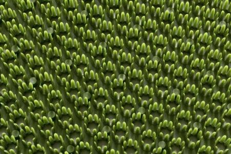 Deurmat Condor Groen "Grasmat" 40 x 60 cm.