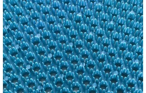 Deurmat Trendy ocean Blauw "Grasmat" 40x60 cm. Deurmat Trendy ocean Blauw "Grasmat" 40x60 cm.