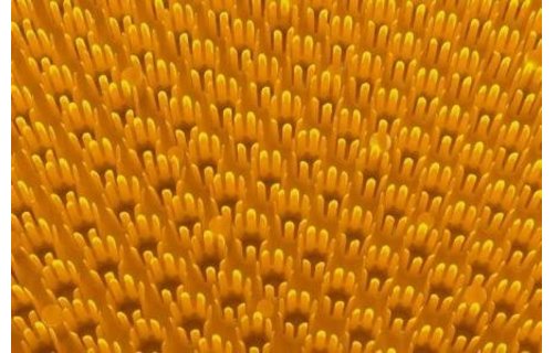 Deurmat Trendy Mandarine "Grasmat" 40x60 cm. Deurmat Trendy Mandarine "Grasmat" 40x60 cm.