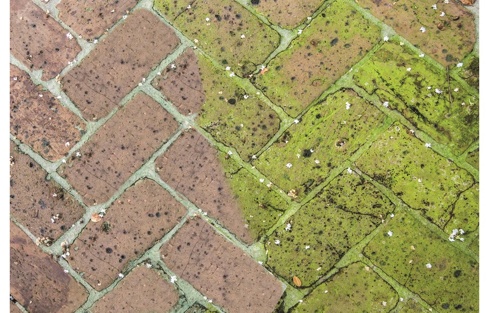 Green kill  5 l  -  Gebruiksklare Groene aanslagreiniger