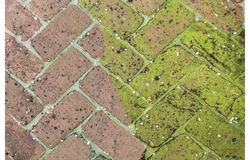 Green kill  5 l  -  Gebruiksklare Groene aanslagreiniger