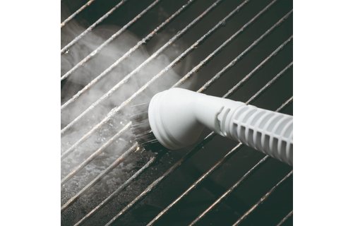 gold Stoomreiniger Zwart/Wit