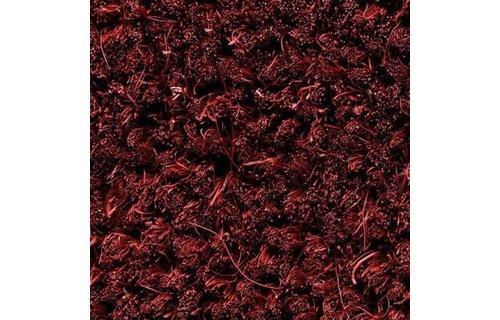 Kokosmat Bordeaux 40 x 60 cm 18 mm.