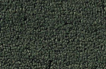Kokosmat Groen 50 x 80 cm 18 mm.