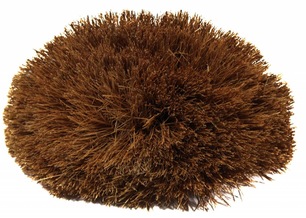 Ragebol zuiver Coco Gm Ragebol zuiver Coco Gm