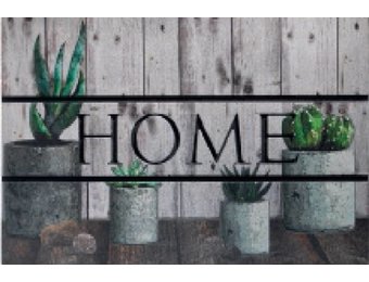 ECO Master 45x75 cm. Home Cactus