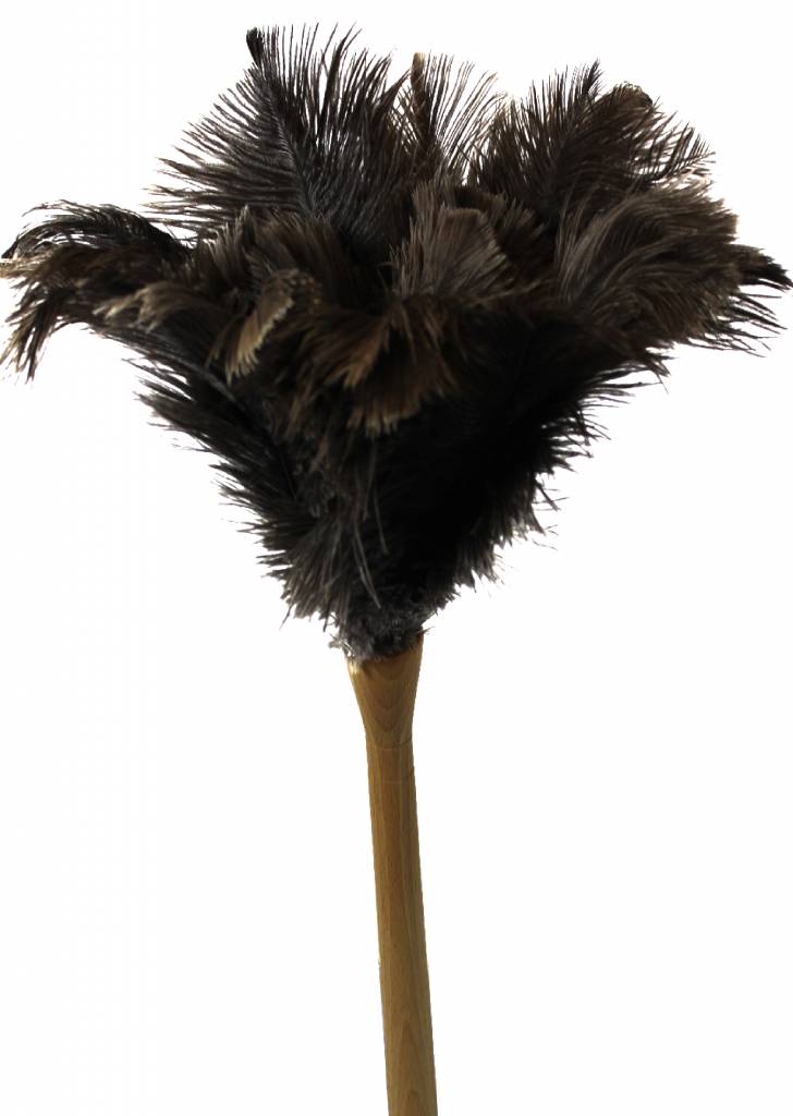 Struisvogel Plumeau op dikke houten steel