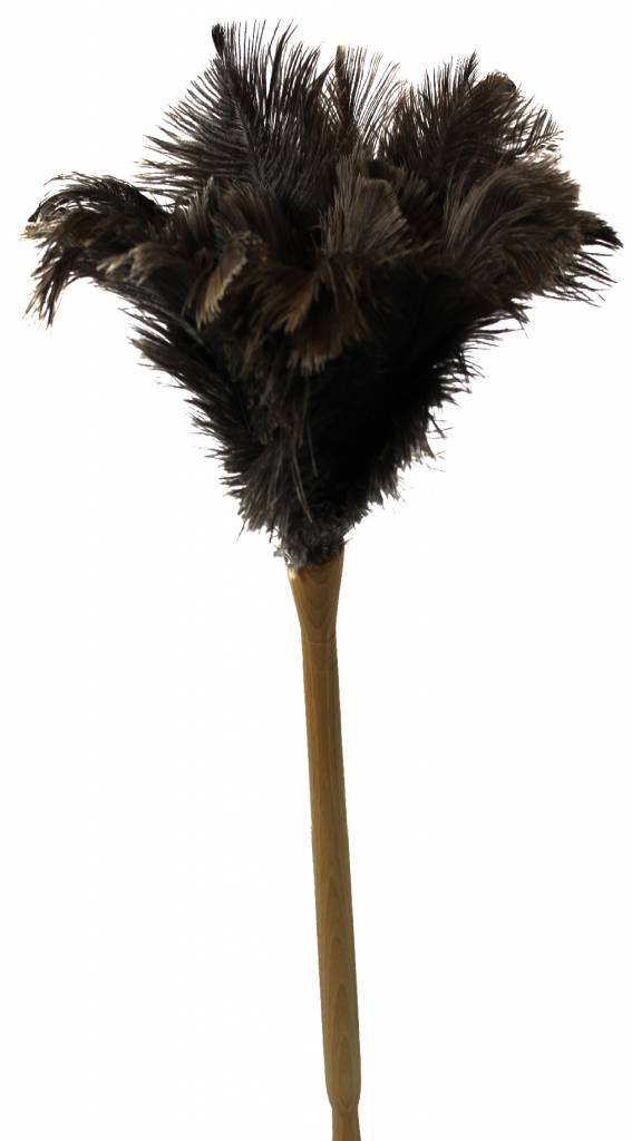 Struisvogel Plumeau op dikke houten steel