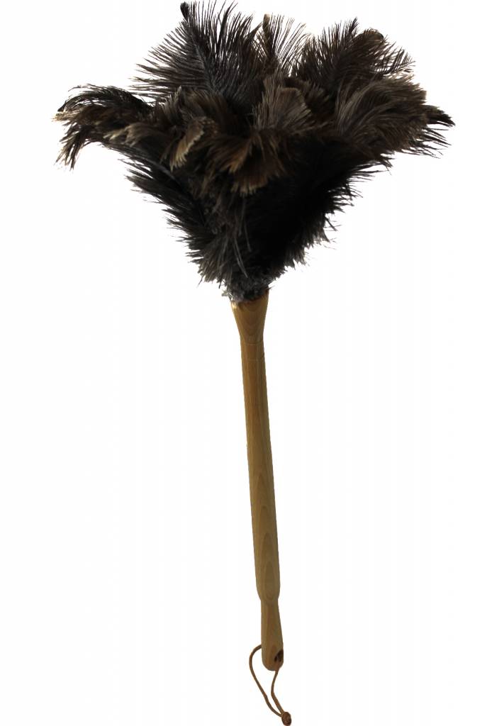 Struisvogel Plumeau op dikke houten steel