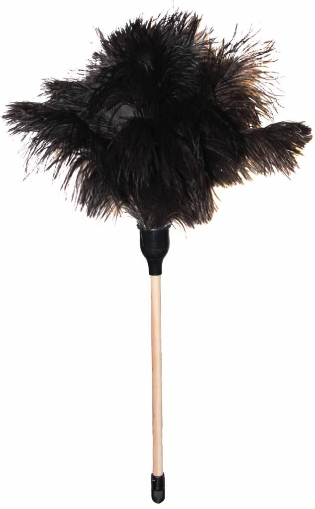 Struisvogel Plumeau op korte houten steel