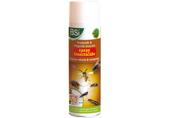 Krachtige Insecticide spray tegen vliegende & kruipende insecten
