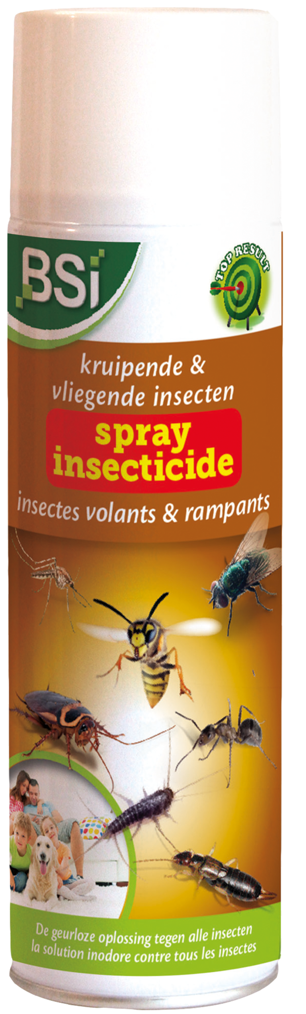 Krachtige Insecticide spray tegen vliegende & kruipende insecten Krachtige Insecticide spray tegen vliegende & kruipende insecten
