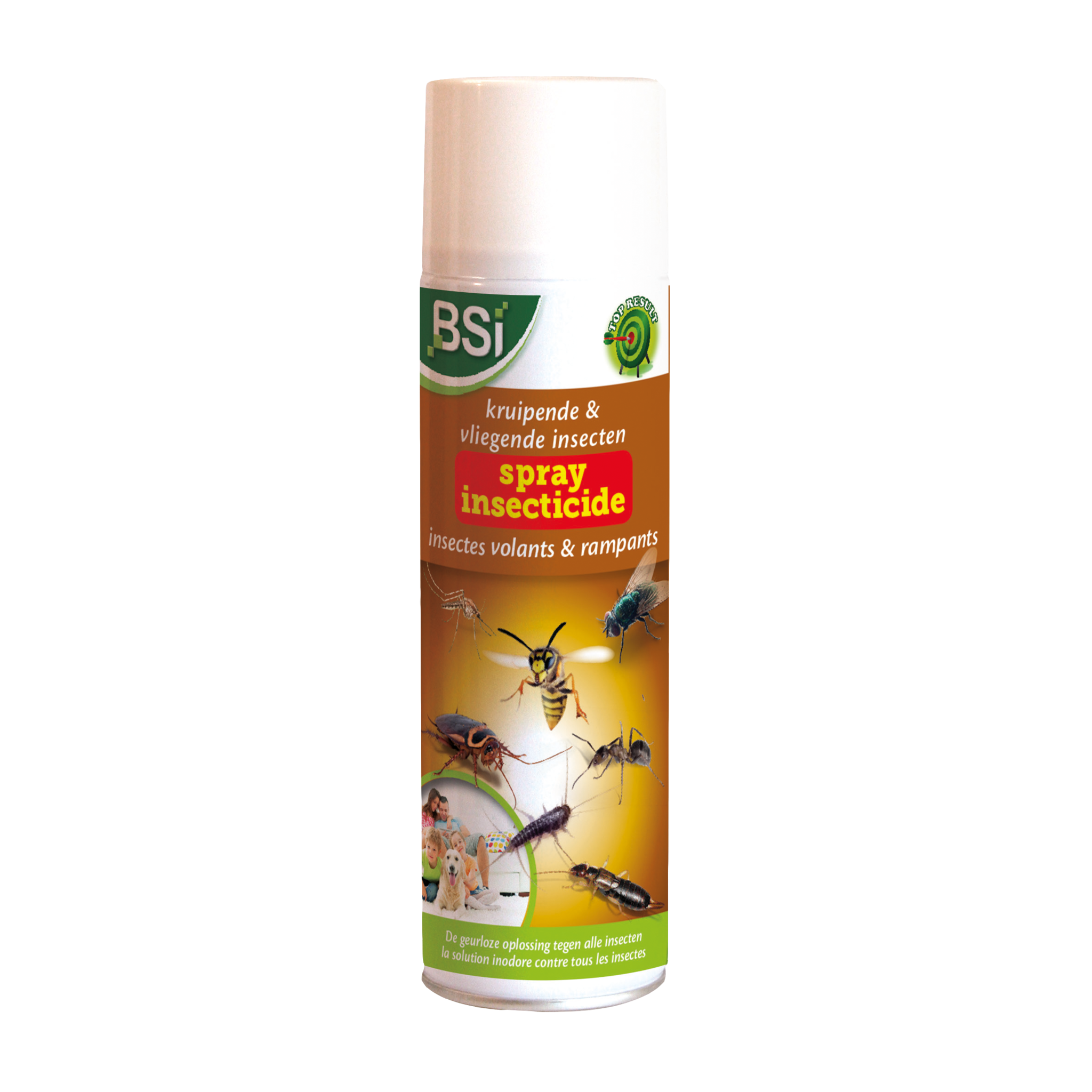 Krachtige Insecticide spray tegen vliegende & kruipende insecten Krachtige Insecticide spray tegen vliegende & kruipende insecten