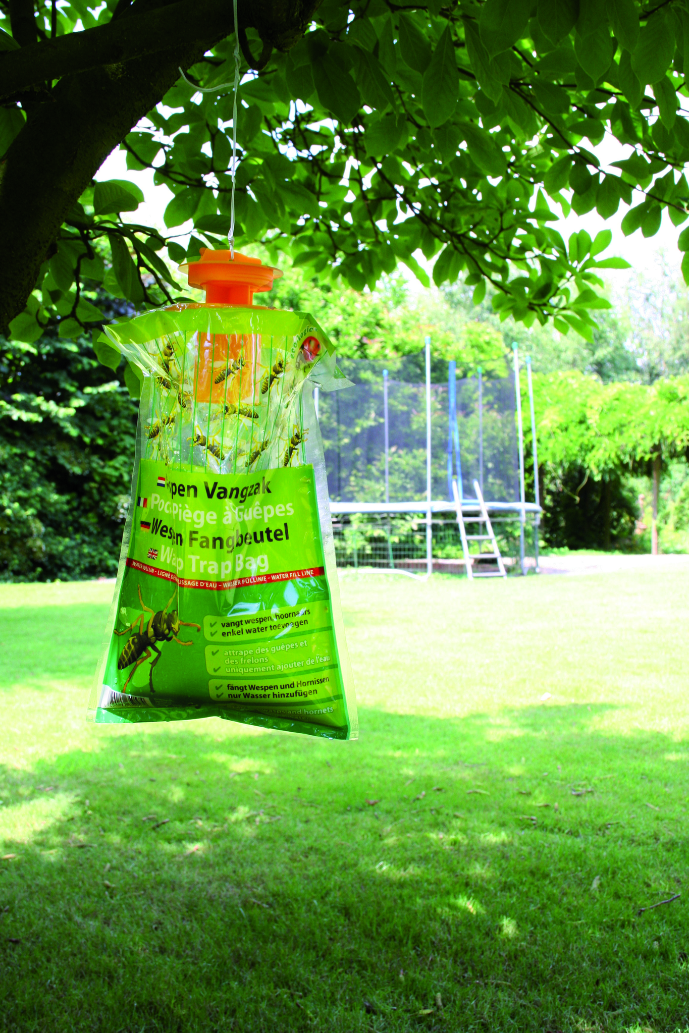 Wespenvangzak  met lokstof