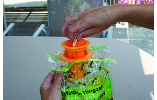 Wespenvangzak  met lokstof