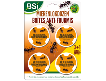 Mierenlokdozen 3 + 1 gratis - 10 g