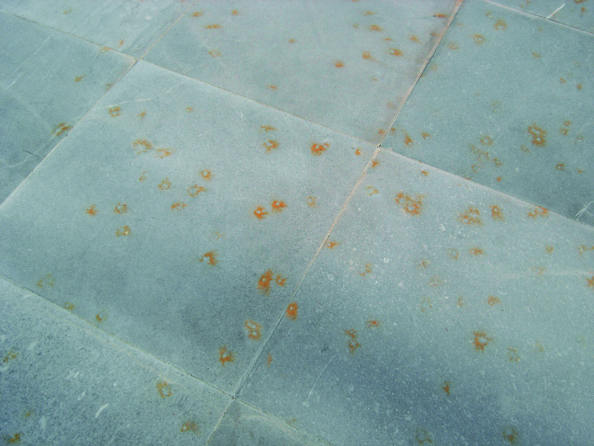 Oxi kill  "Tegen  Roestvlekken"  500ml