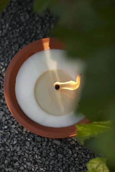 Tuinkaars "Royal Flame" terracotta   23 cm Tuinkaars "Royal Flame" terracotta   23 cm