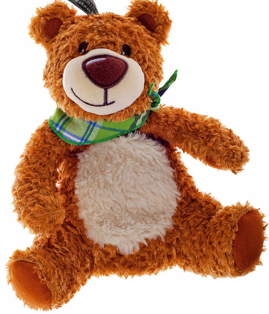Warmteknuffel Teddybeer met Koolzaadvulling