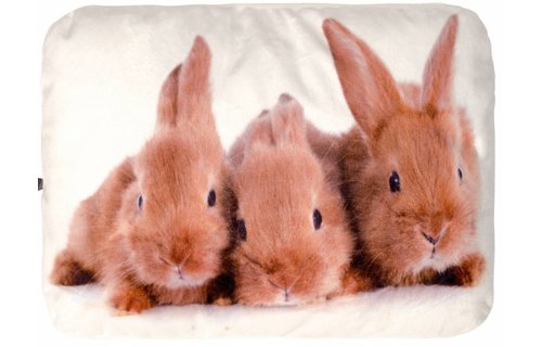 Warmtekussen konijn met kruik 0,8 liter