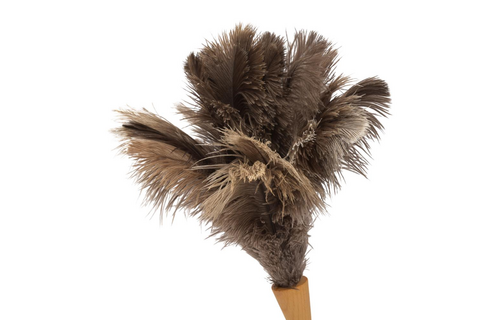 Struisvogel Plumeau korte steel - Lengte 40cm