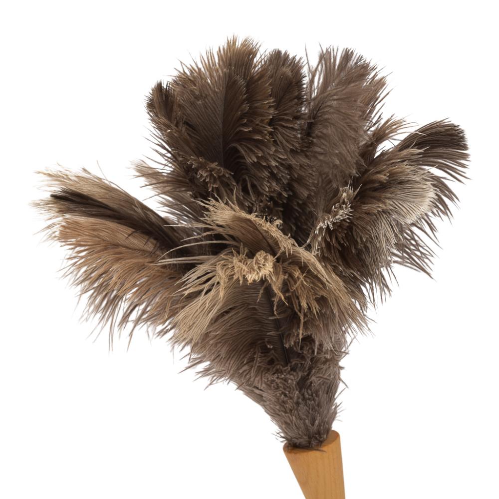 Struisvogel Plumeau korte steel - Lengte 40cm