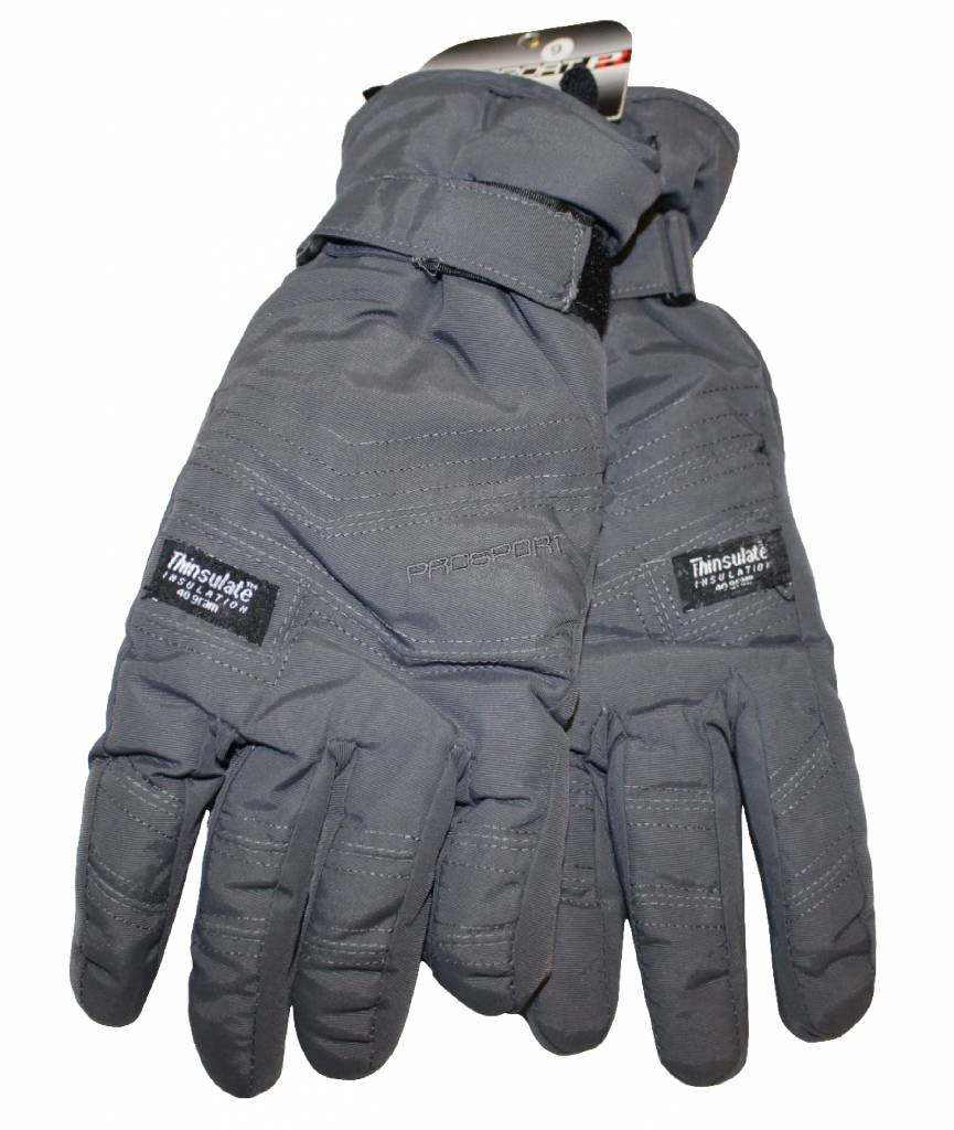 Ski handschoenen "ProSport" grijs