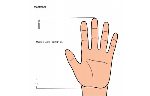 Ski handschoenen Heren "DryMax" licht Grijs