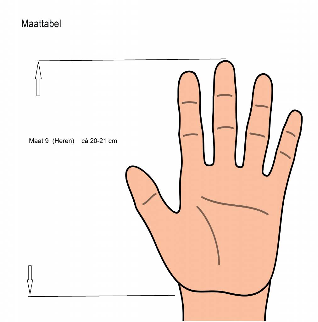 Ski handschoenen Heren "DryMax" licht Grijs