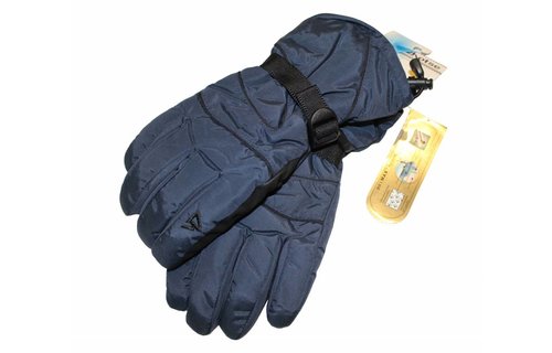 Ski handschoenen Heren "DryMax" Blauw