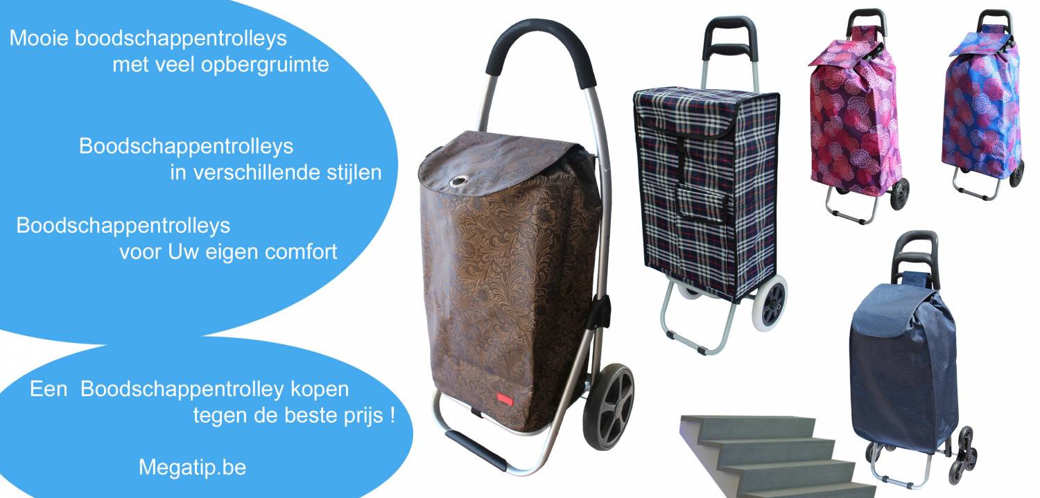 De belangrijkste kenmerken van een boodschappentrolley