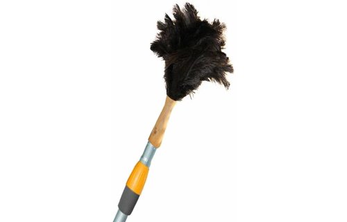 Struisvogel Plumeau voor telescoopsteel