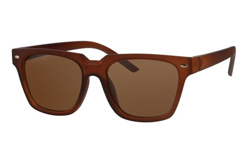 Wayfarer Zonnebril Brown