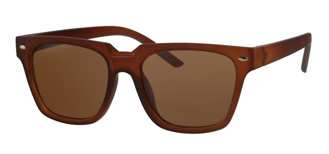 Wayfarer Zonnebril Brown